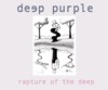 Deep Purple. Rapture Of The Deep Cover